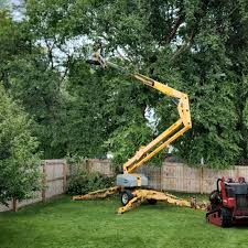 Seasonal Cleanup (Spring/Fall) in Brice Prairie, WI